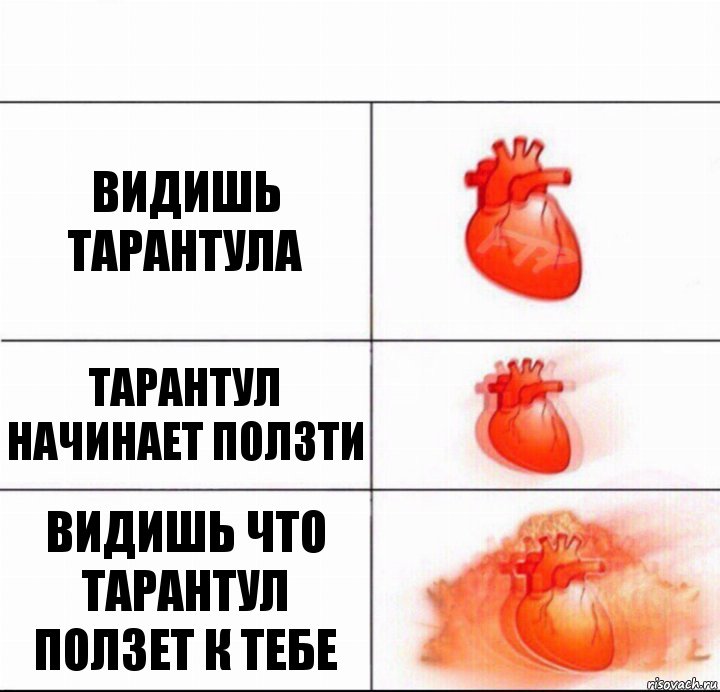 видишь тарантула тарантул начинает ползти видишь что тарантул ползет к тебе, Комикс  Расширяюшее сердце