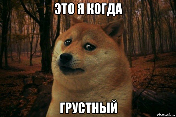 это я когда грустный, Мем SAD DOGE