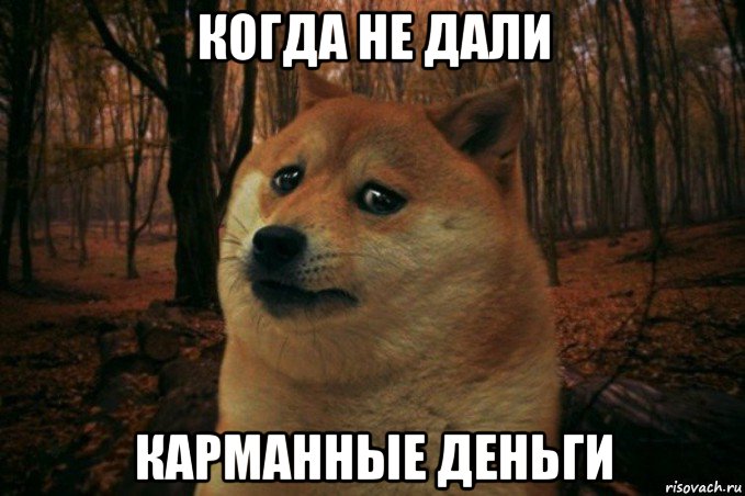 когда не дали карманные деньги, Мем SAD DOGE