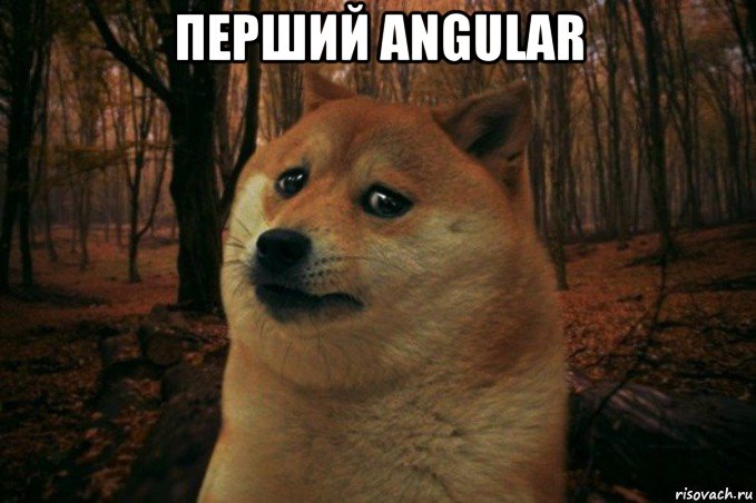 перший angular , Мем SAD DOGE