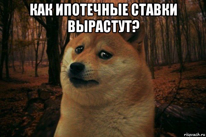 как ипотечные ставки вырастут? , Мем SAD DOGE