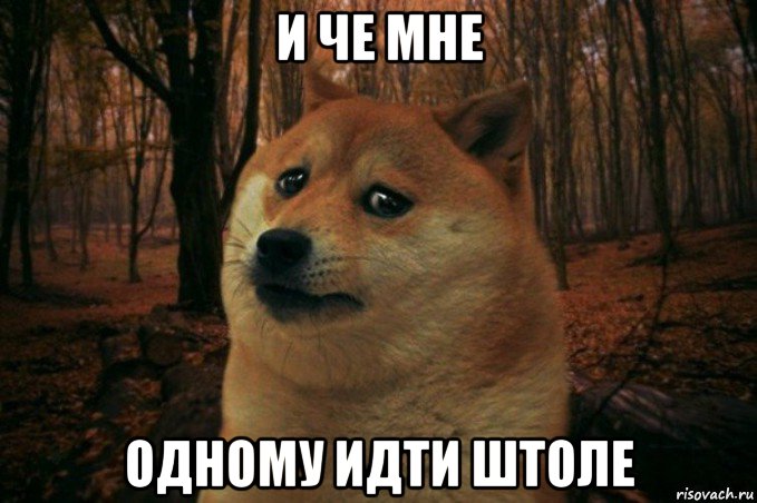 и че мне одному идти штоле, Мем SAD DOGE