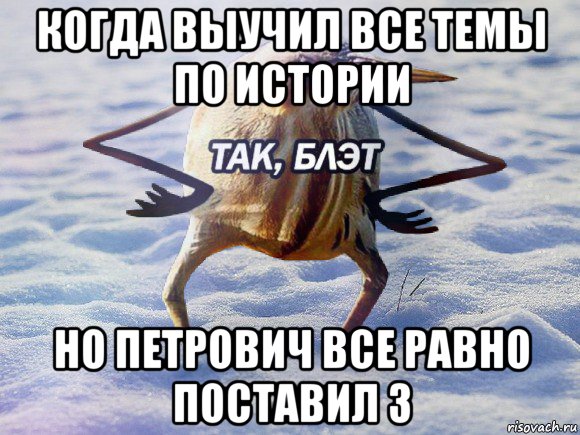 когда выучил все темы по истории но петрович все равно поставил 3, Мем  Так блэт птица с руками