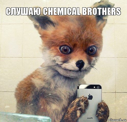 слушаю chemical brothers, Комикс Селфи упоротой лисы