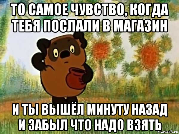 то самое чувство, когда тебя послали в магазин и ты вышёл минуту назад и забыл что надо взять, Мем Винни пух чешет затылок