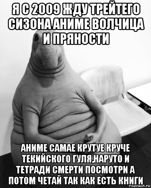 я с 2009 жду трейтего сизона аниме волчица и пряности аниме самае крутуе круче текийского гуля,наруто и тетради смерти посмотри а потом четай так как есть книги, Мем  Ждун