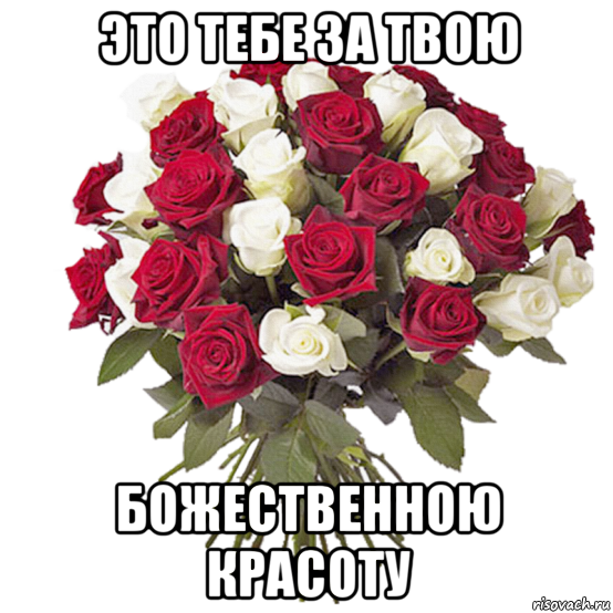 Твои любимые цветы