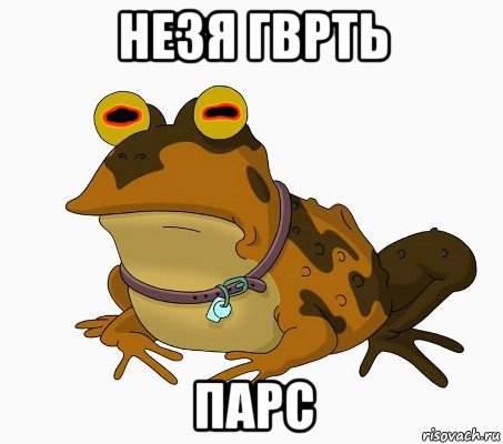 незя гврть парс