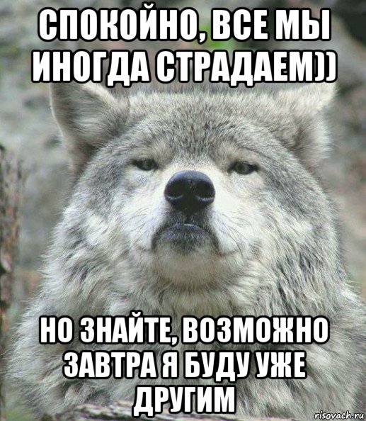 спокойно, все мы иногда страдаем)) но знайте, возможно завтра я буду уже другим, Мем    Гордый волк