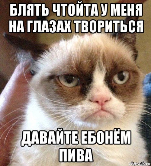 блять чтойта у меня на глазах твориться давайте ебонём пива, Мем Грустный (сварливый) кот