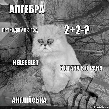 Алгебра Вставу в 6 рана 2+2-? Англійська Нееееееет   Пртходжу в 3 год  