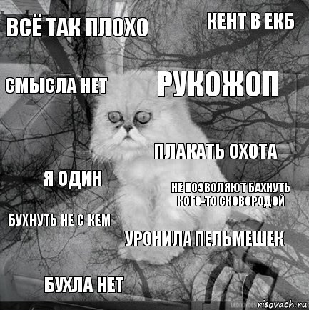 Всё так плохо Не позволяют бахнуть кого-то сковородой Рукожоп БУХЛА НЕТ Я один Кент в ЕКБ Уронила пельмешек Смысла нет Бухнуть не с кем Плакать охота, Комикс  кот безысходность