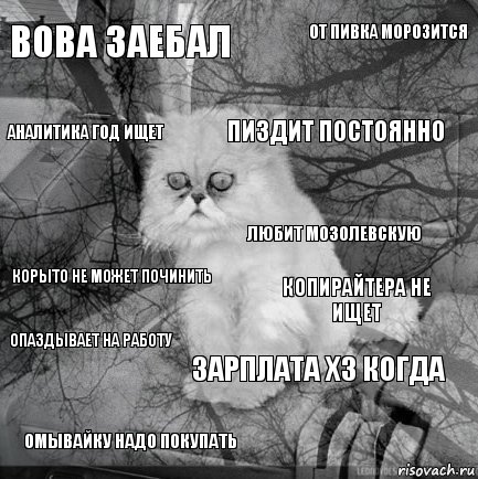 Вова заебал Копирайтера не ищет пиздит постоянно омывайку надо покупать Корыто не может починить от пивка морозится зарплата хз когда Аналитика год ищет опаздывает на работу любит мозолевскую, Комикс  кот безысходность