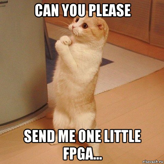 can you please send me one little fpga..., Мем  котэ молится