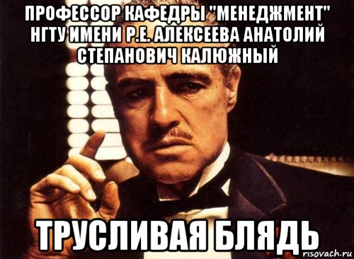 профессор кафедры "менеджмент" нгту имени р.е. алексеева анатолий степанович калюжный трусливая блядь, Мем крестный отец