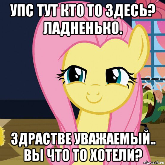 упс тут кто то здесь? ладненько. здрастве уважаемый.. вы что то хотели?, Мем  Mem Fluttershy