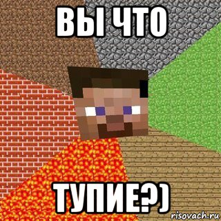 вы что тупие?), Мем Миникрафтер