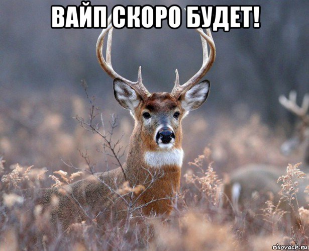 вайп скоро будет! , Мем   Наивный олень