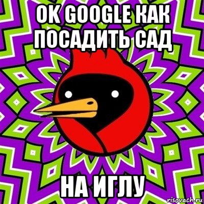 ok google как посадить сад на иглу, Мем Омская птица