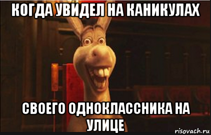 когда увидел на каникулах своего одноклассника на улице, Мем Осел из Шрека