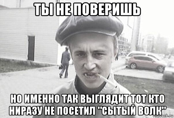 ты не поверишь но именно так выглядит тот кто ниразу не посетил "сытый волк"