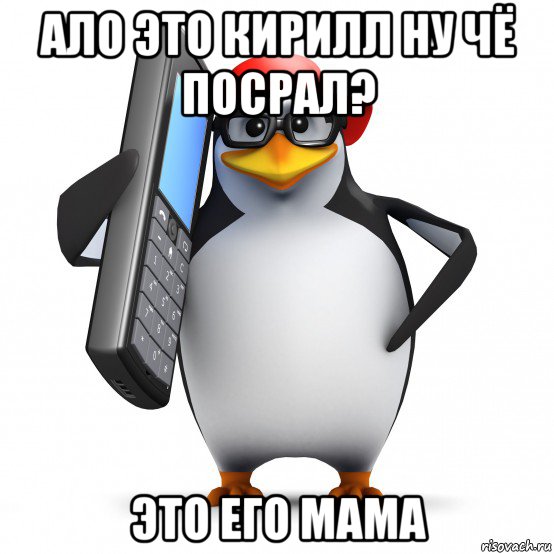 ало это кирилл ну чё посрал? это его мама, Мем   Пингвин звонит