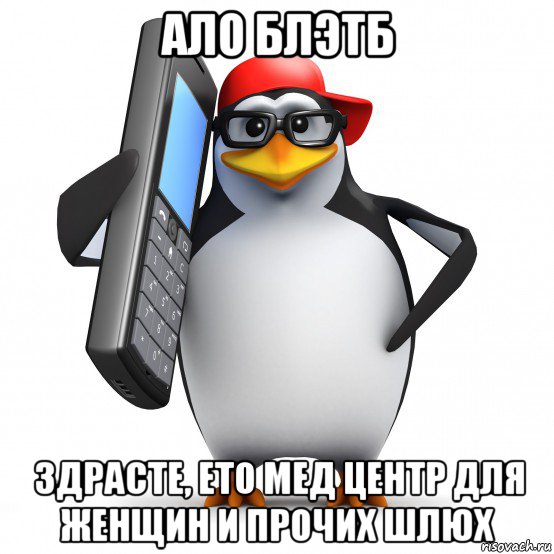 ало блэтб здрасте, ето мед центр для женщин и прочих шлюх, Мем   Пингвин звонит