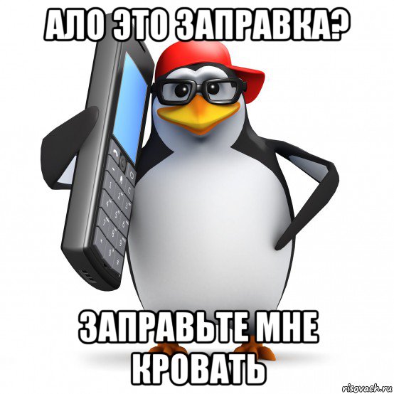 ало это заправка? заправьте мне кровать, Мем   Пингвин звонит