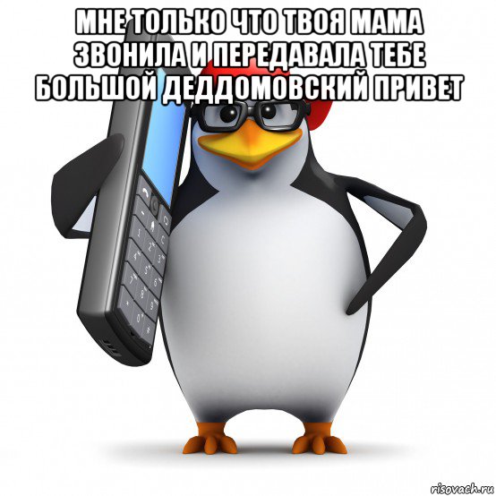 мне только что твоя мама звонила и передавала тебе большой деддомовский привет , Мем   Пингвин звонит