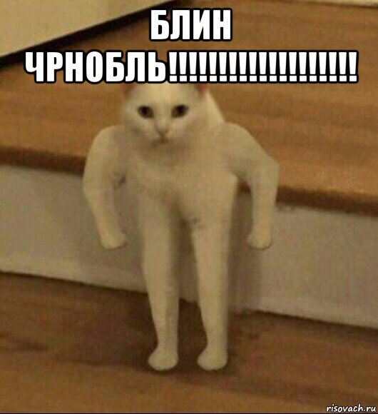 блин чрнобль!!!!!!!!!!!!!!!!!!! , Мем  Полукот