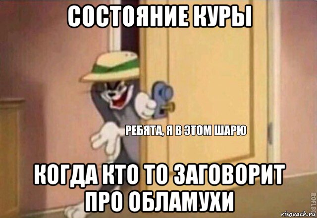 состояние куры когда кто то заговорит про обламухи, Мем    Ребята я в этом шарю