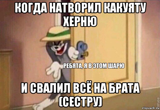 когда натворил какуяту херню и свалил всё на брата (сестру), Мем    Ребята я в этом шарю