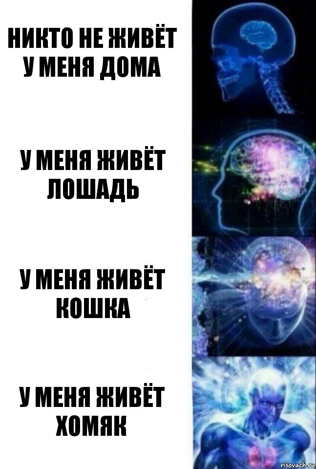 никто не живёт у меня дома у меня живёт лошадь у меня живёт кошка у меня живёт хомяк, Комикс  Сверхразум