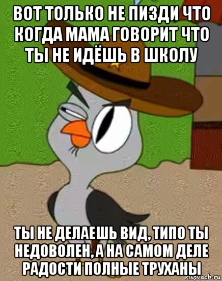 вот только не пизди что когда мама говорит что ты не идёшь в школу ты не делаешь вид, типо ты недоволен, а на самом деле радости полные труханы, Мем    Упоротая сова