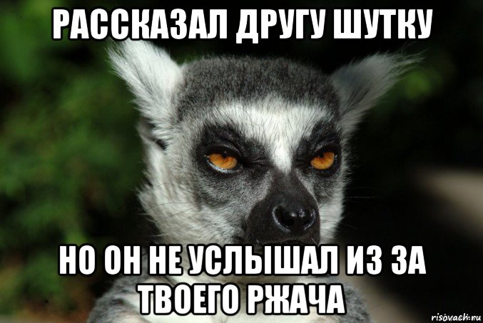 рассказал другу шутку но он не услышал из за твоего ржача