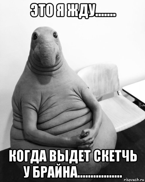 это я жду....... когда выдет скетчь у брайна................., Мем  Ждун