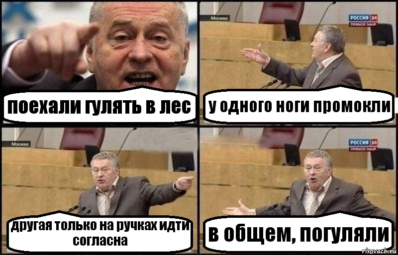 поехали гулять в лес у одного ноги промокли другая только на ручках идти согласна в общем, погуляли, Комикс Жириновский