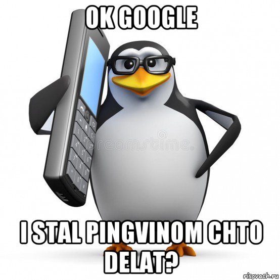 ok google i stal pingvinom chto delat?