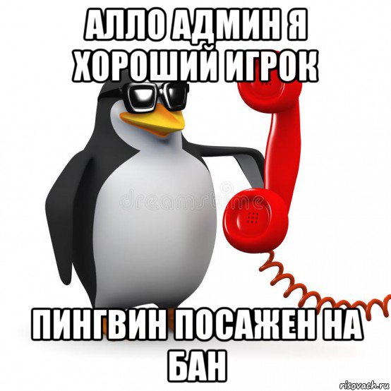 Але але алее. Алло Мем. Алло это Мем с пингвином. Алло это Дантес.