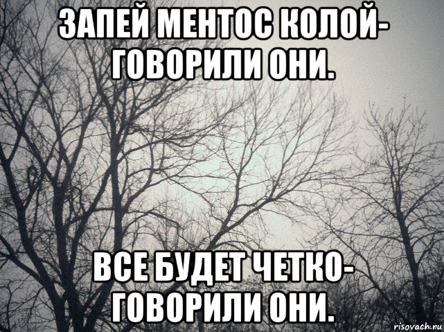 запей ментос колой- говорили они. все будет четко- говорили они., Мем  будет весело говорили они