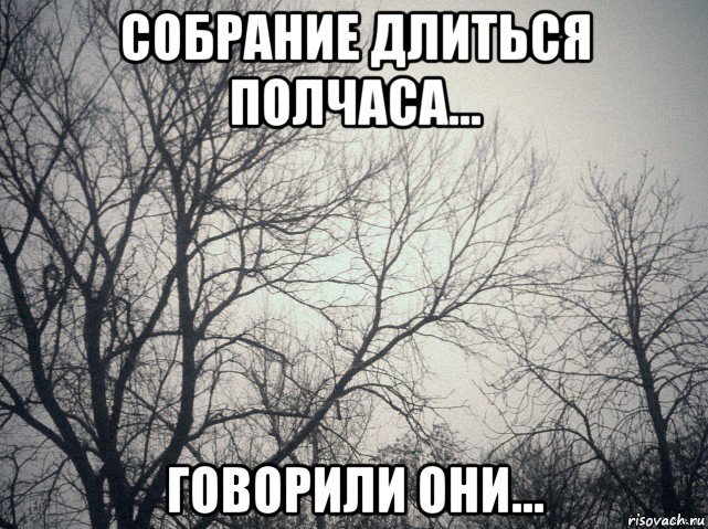 собрание длиться полчаса... говорили они..., Мем  будет весело говорили они