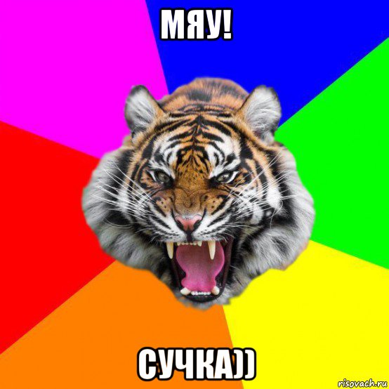 мяу! сучка))