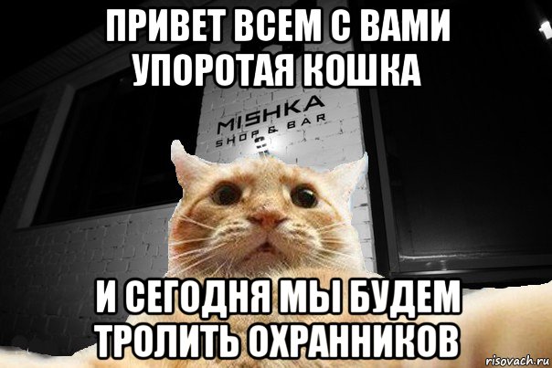 Новости сегодня привет. Кот охранник Мем. Коты убийцы Мем. Мемы про охрану.
