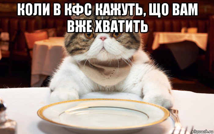 Толстый голодный. Голодный котик Мем. Голодный кот мемы. Голодные коты мемы. Жирный голодный кот Мем.