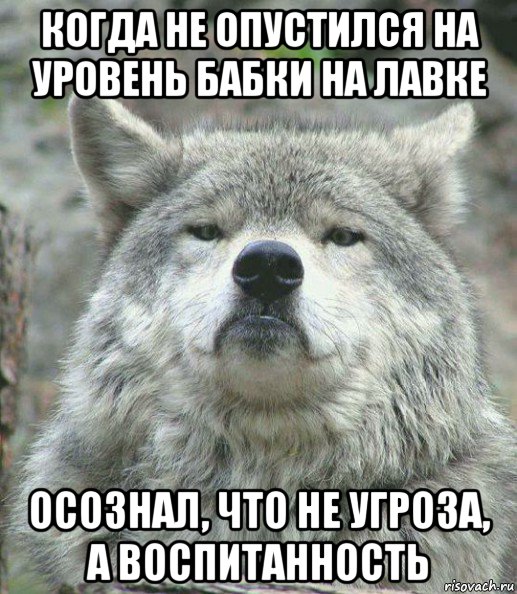 когда не опустился на уровень бабки на лавке осознал, что не угроза, а воспитанность, Мем    Гордый волк