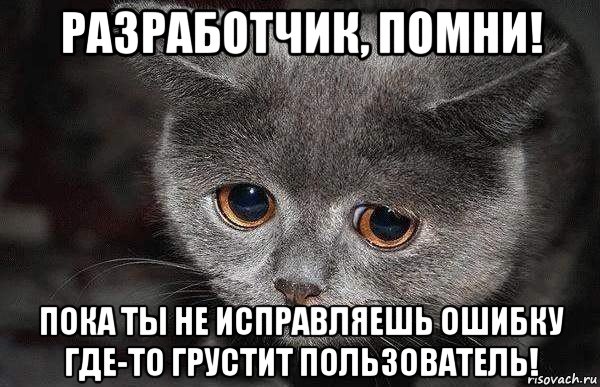 разработчик, помни! пока ты не исправляешь ошибку где-то грустит пользователь!, Мем  Грустный кот