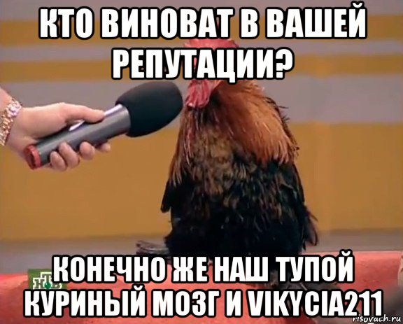 кто виноват в вашей репутации? конечно же наш тупой куриный мозг и vikycia211, Мем Интервью с петухом