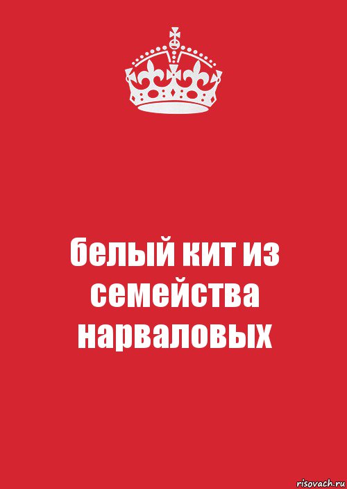 белый кит из семейства нарваловых, Комикс Keep Calm 3