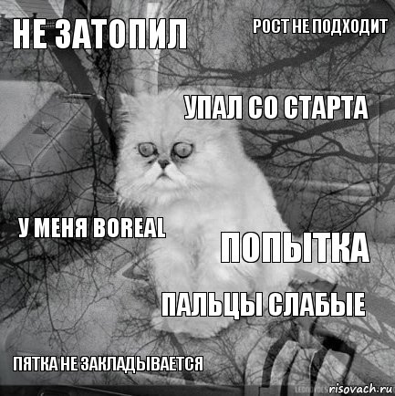 Не затопил попытка упал со старта пятка не закладывается У меня Boreal рост не подходит пальцы слабые   , Комикс  кот безысходность