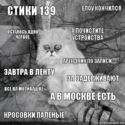 стики 139 зп задерживают а почистите устройства кросовки паленые завтра в ленту елоу кончился а в москве есть осталось одно черное все на мотивашке арендник по записи, Комикс  кот безысходность